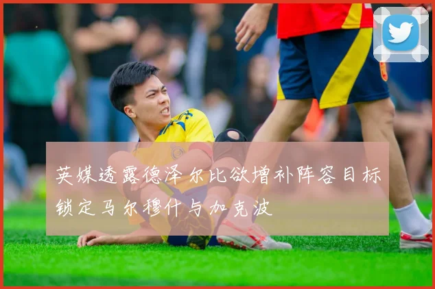 英媒透露德泽尔比欲增补阵容目标锁定马尔穆什与加克波